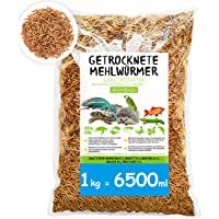 SHF-Natur Gusanos de harina secados • 1 kg (equivalente a 6-5 litros) alimento premium • El snack saludable y natural…